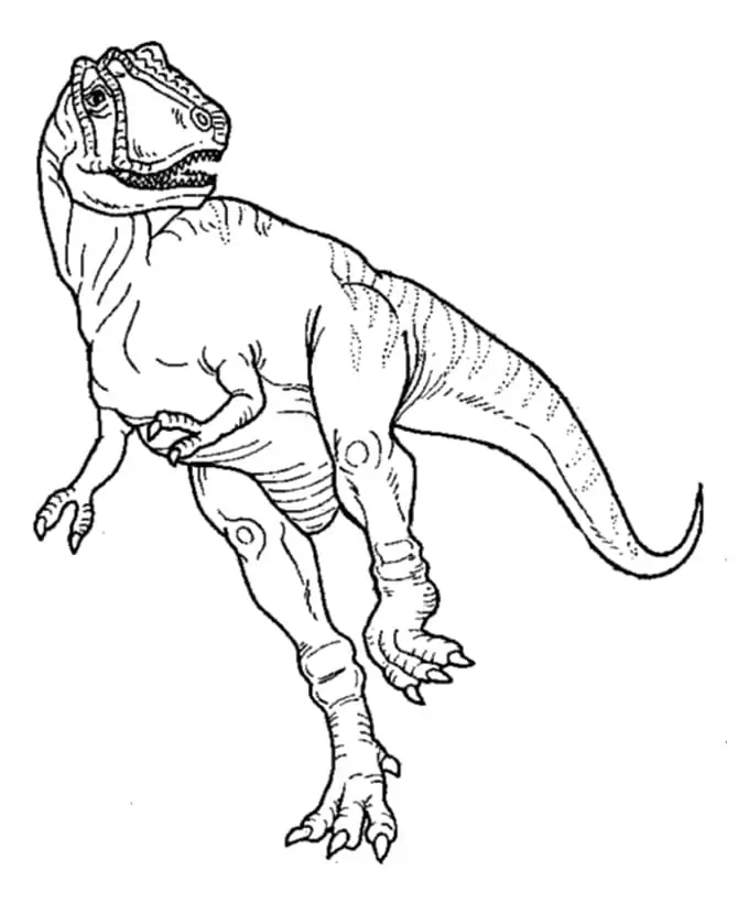 Allosaurus 5