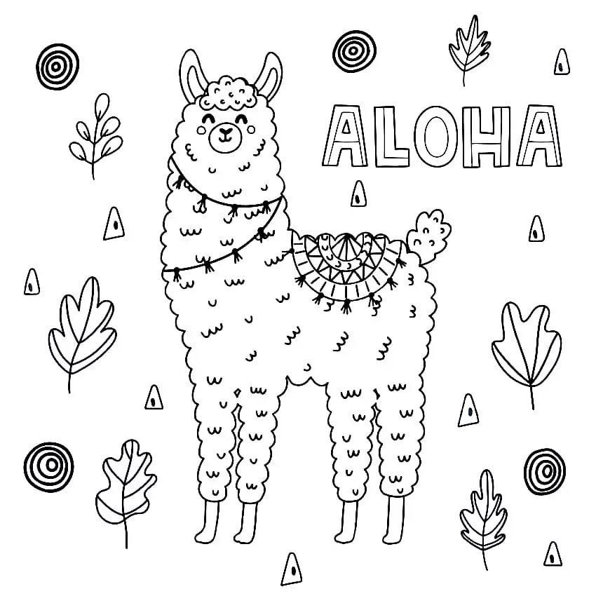 Aloha 8