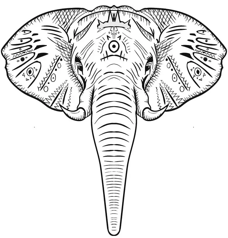 Erstaunlicher Elefantenkopf