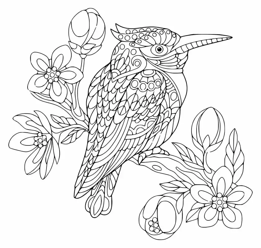 Amazing Kookaburra Coloring Page - Free Printable Coloring Pages for Kids