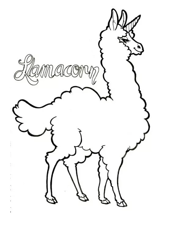 Amazing Llamacorn