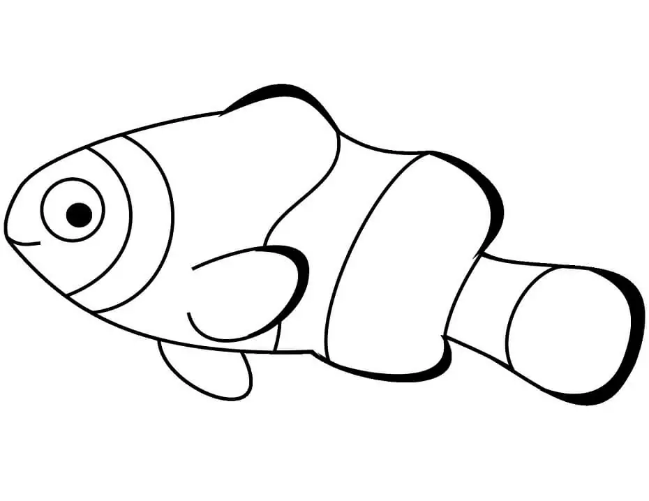Anemonen-Fisch