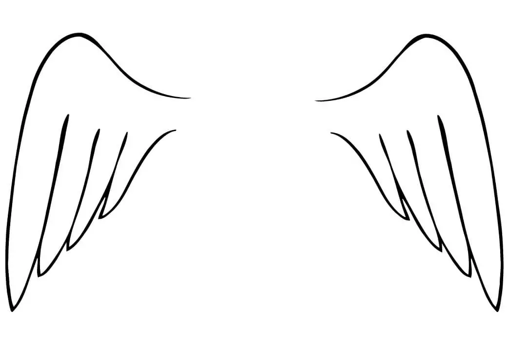 Angel Wings 1