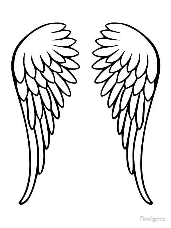 Angel Wings 5