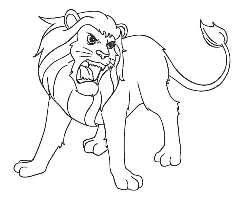 Angry Lion Roaring