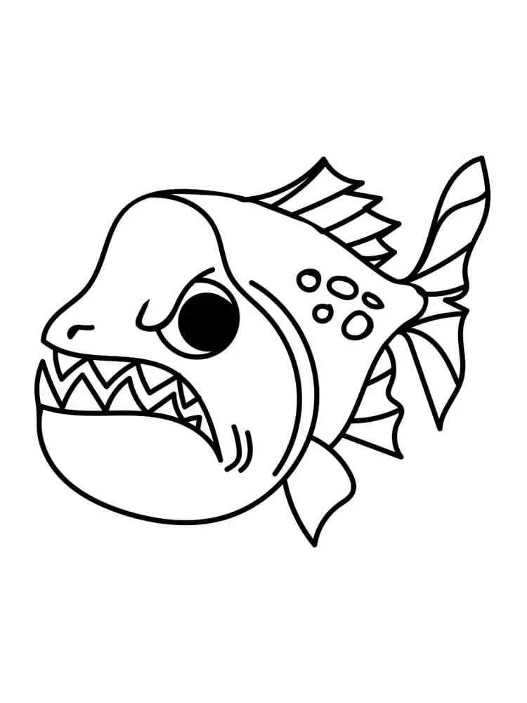 Angry Piranha Fish