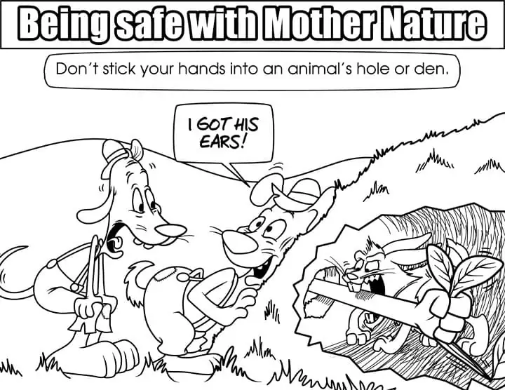 Animal Hole Safety