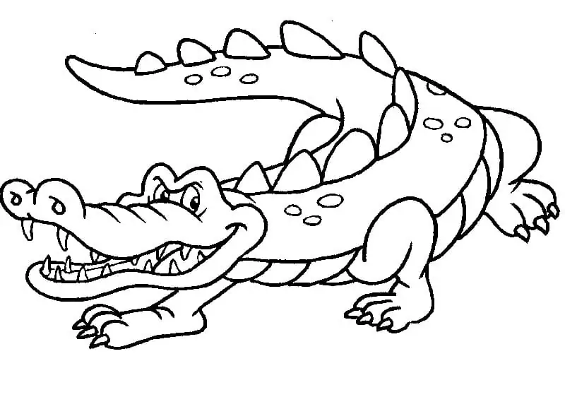 Animated Crocodile