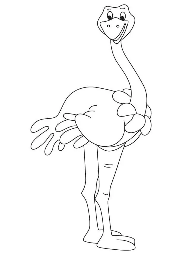 Animated Ostrich
