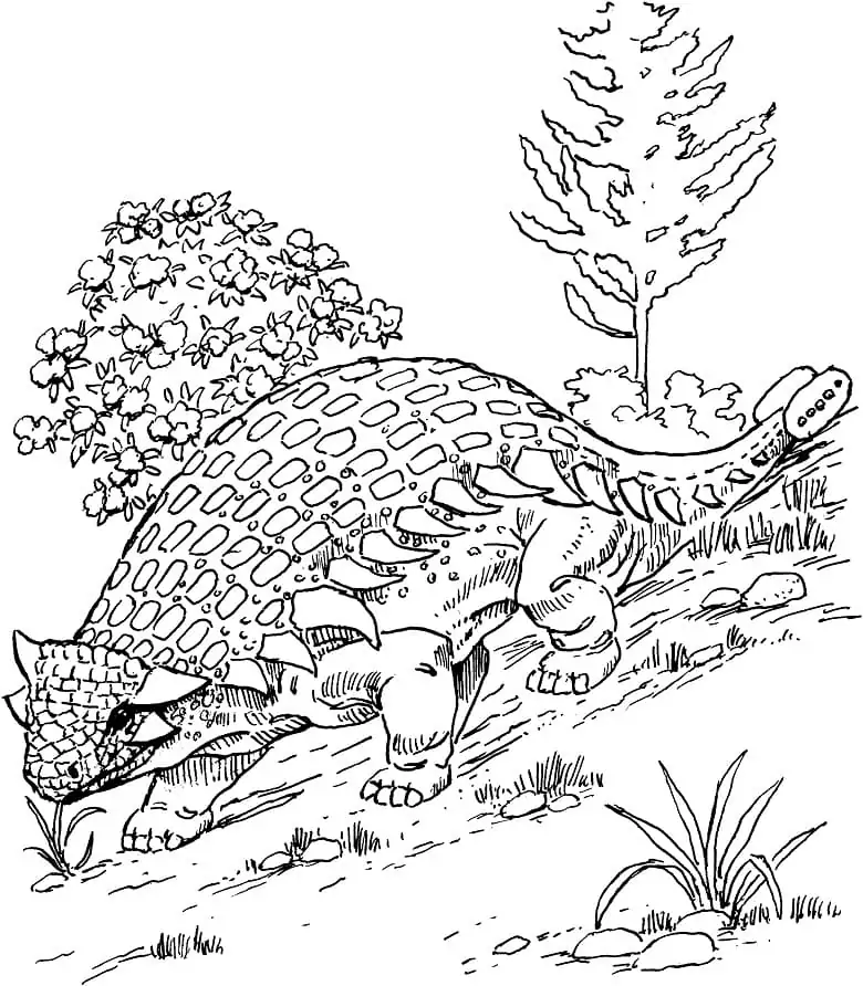 Ankylosaurus Dino