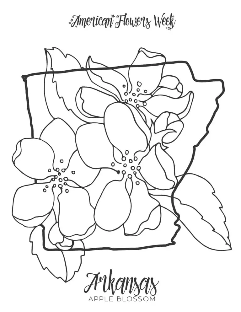 Arkansas Apple Blossom State Flower