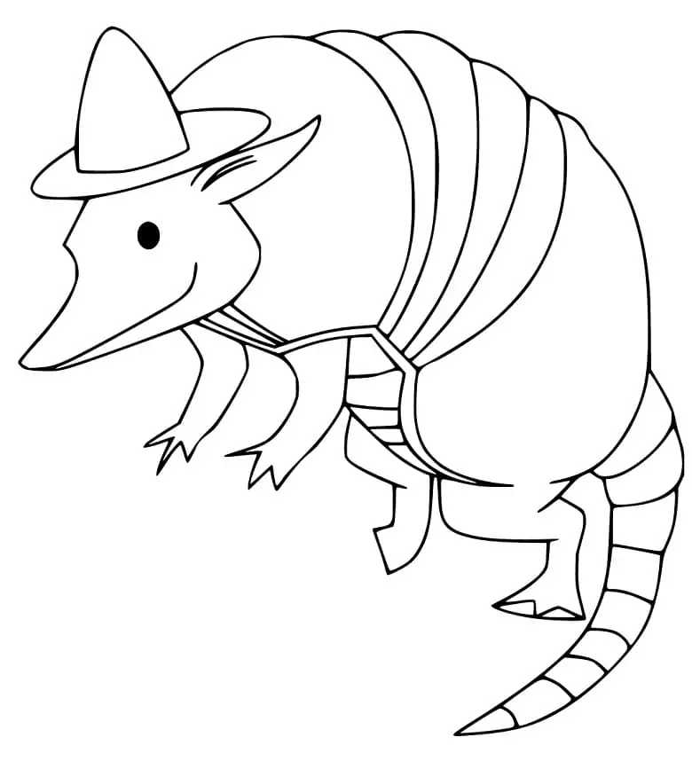 Armadilo in a Hat