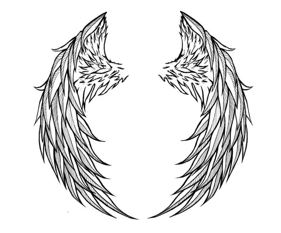 Awesome Angel Wings
