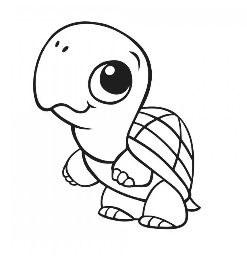 Baby-Schildkröte