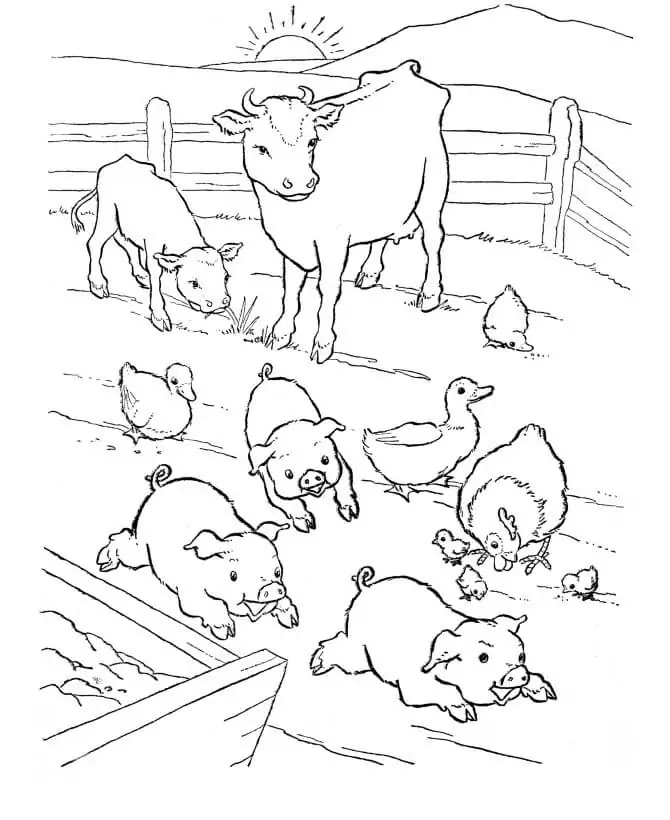 Barnyard 1