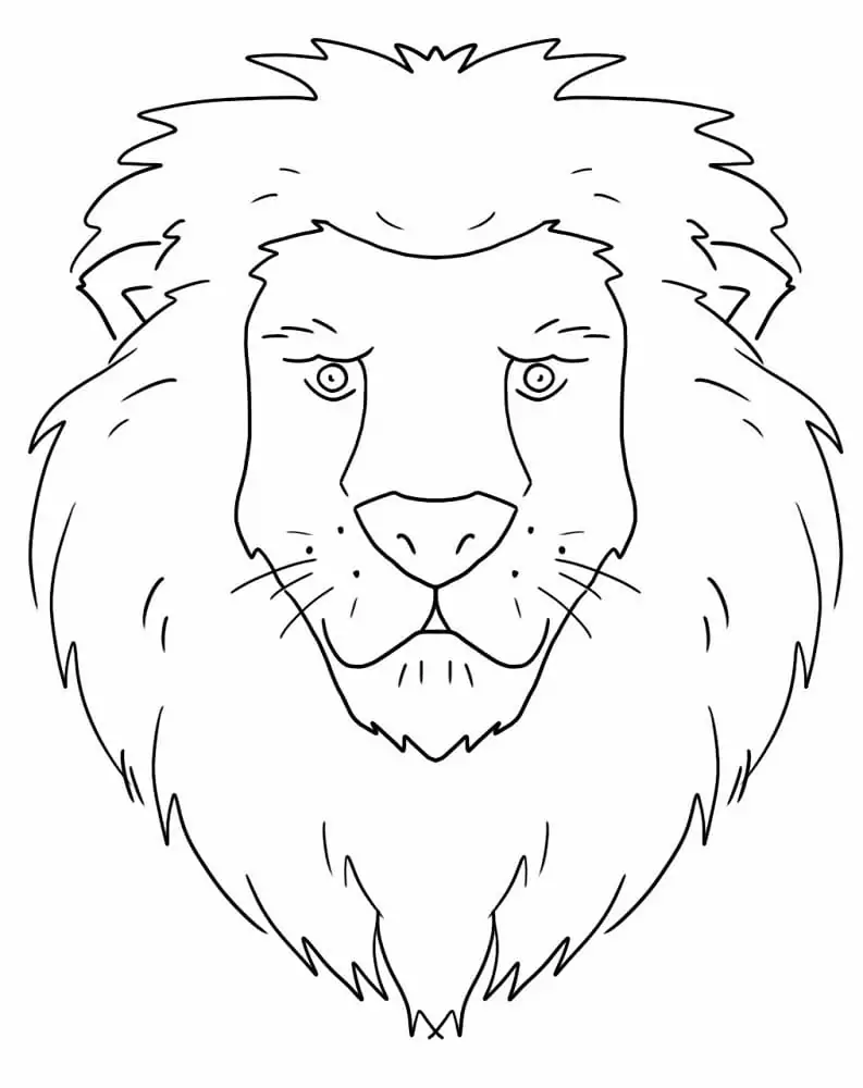 Basic Lion Face