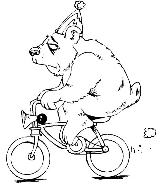 Bear on A Bicycle