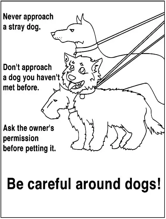 Becareful Around Dogs