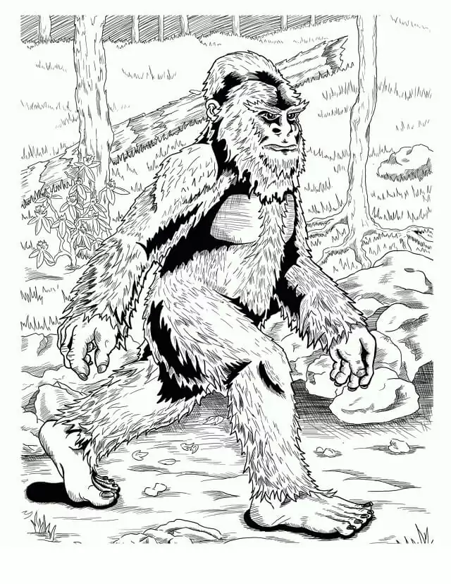 Bigfoot 1