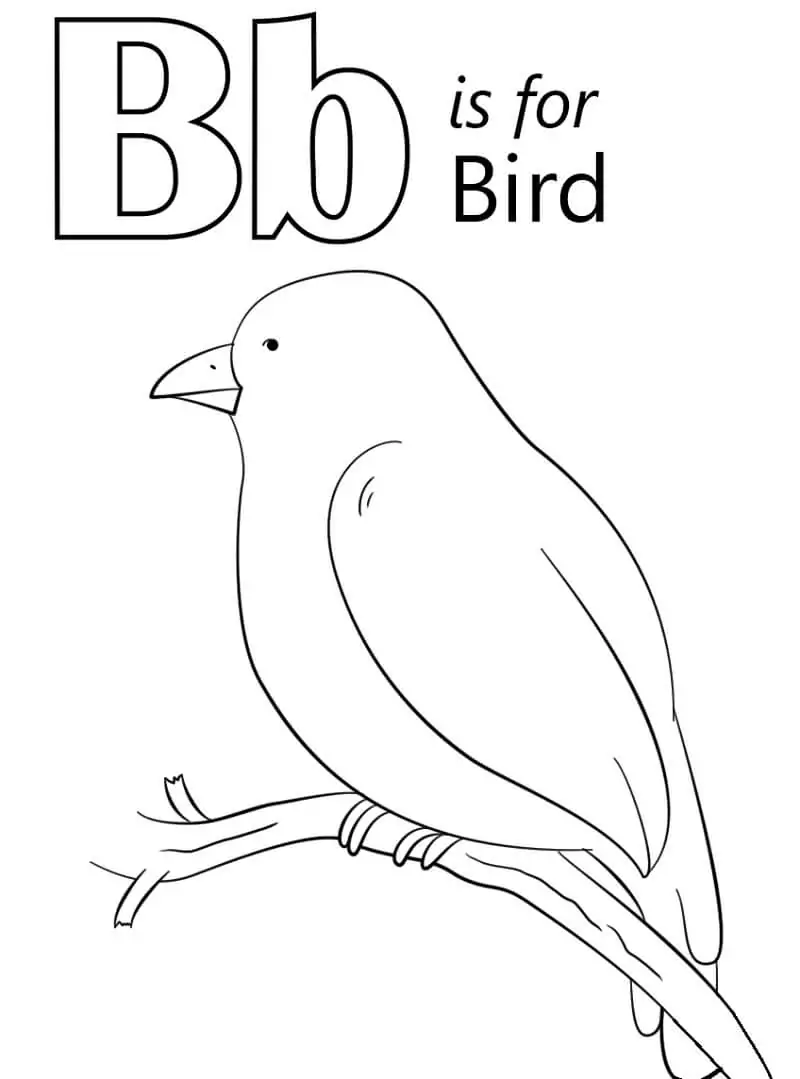 Bird Letter B