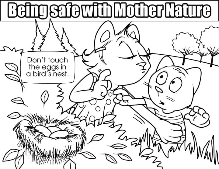 Bird Nest Safety
