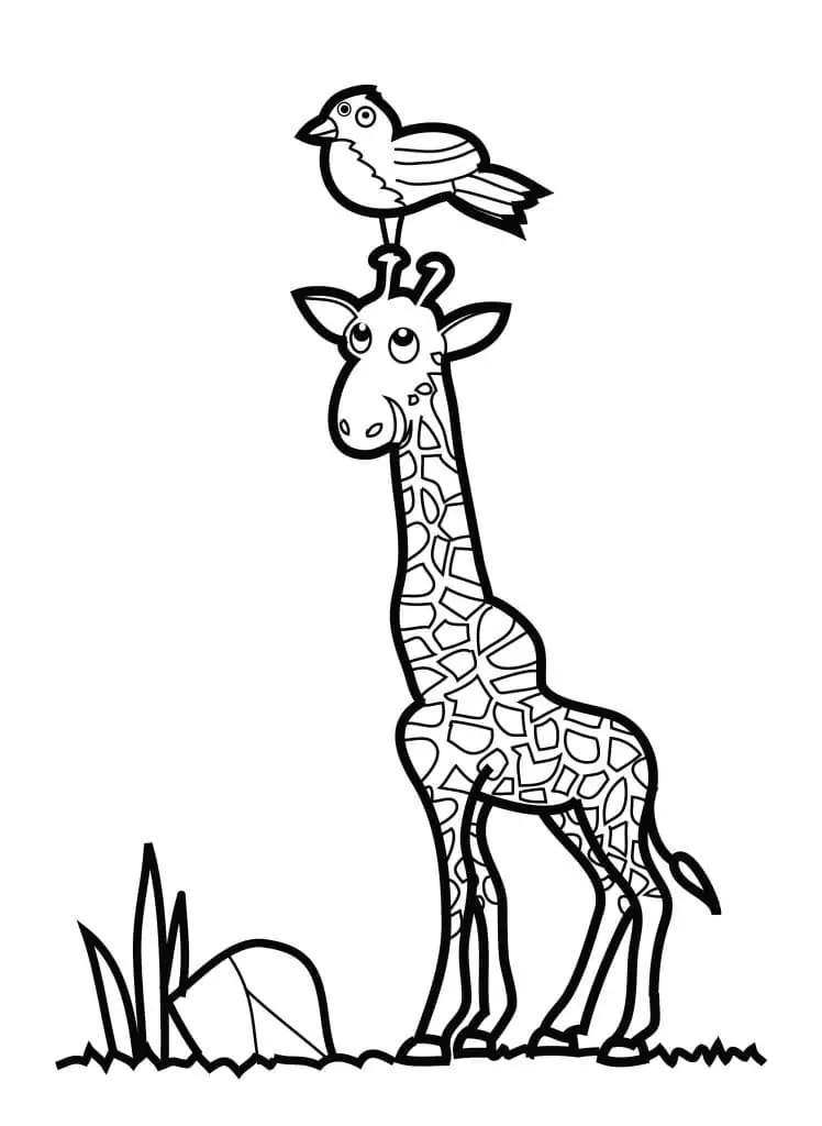 Vogel und Giraffe