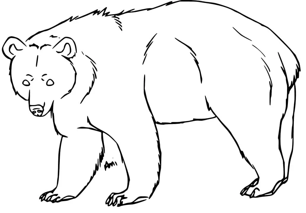 Two Black Bears Coloring Page - Free Printable Coloring Pages for Kids