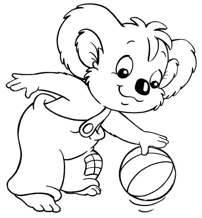 Blinky Bill Playing Basketball