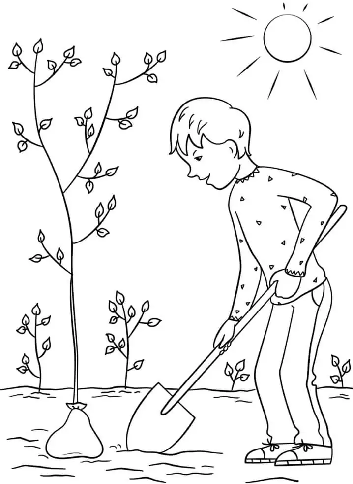 Junge pflanzt einen Baum