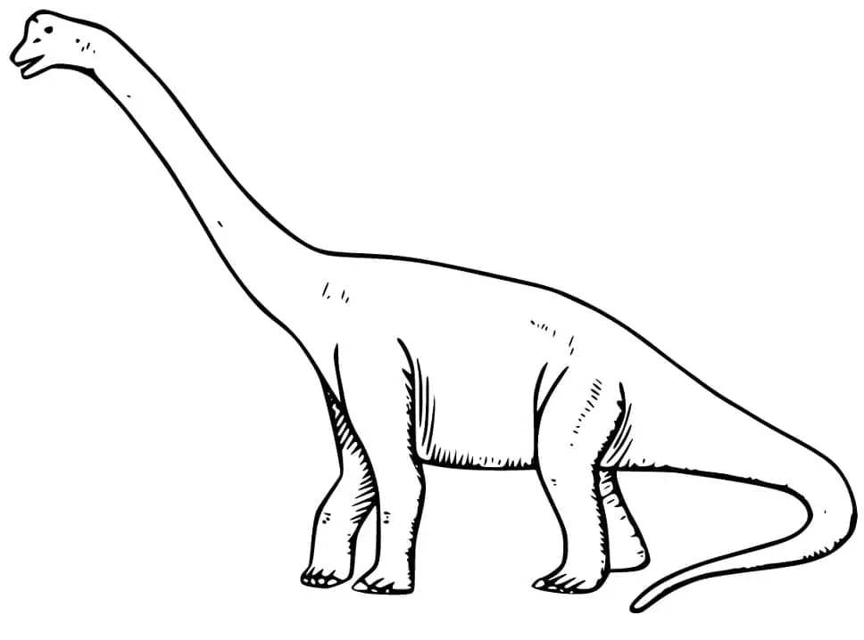 Brachiosaurus 8