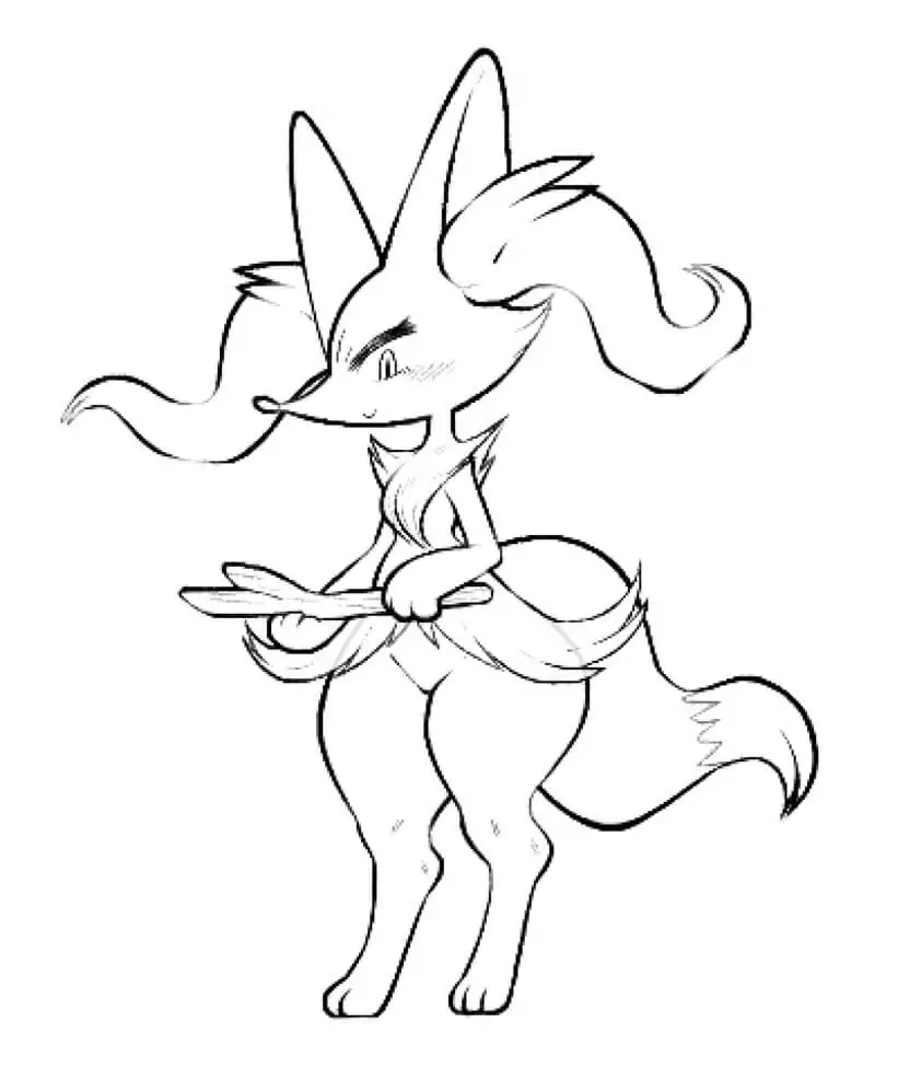 Braixen 6