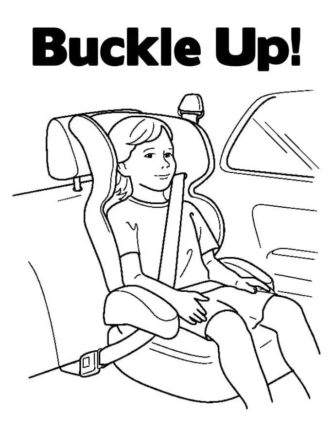 Buckle Up Safety
