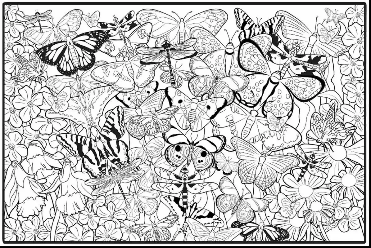 Schmetterlinge kompliziert