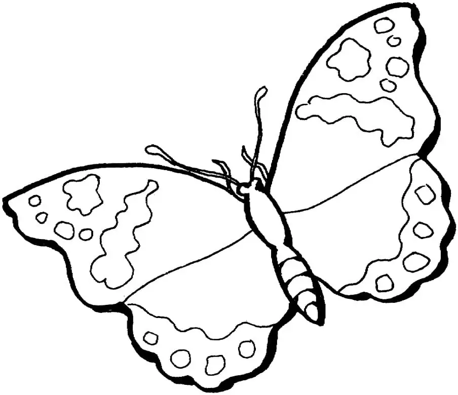 Butterfly for Children