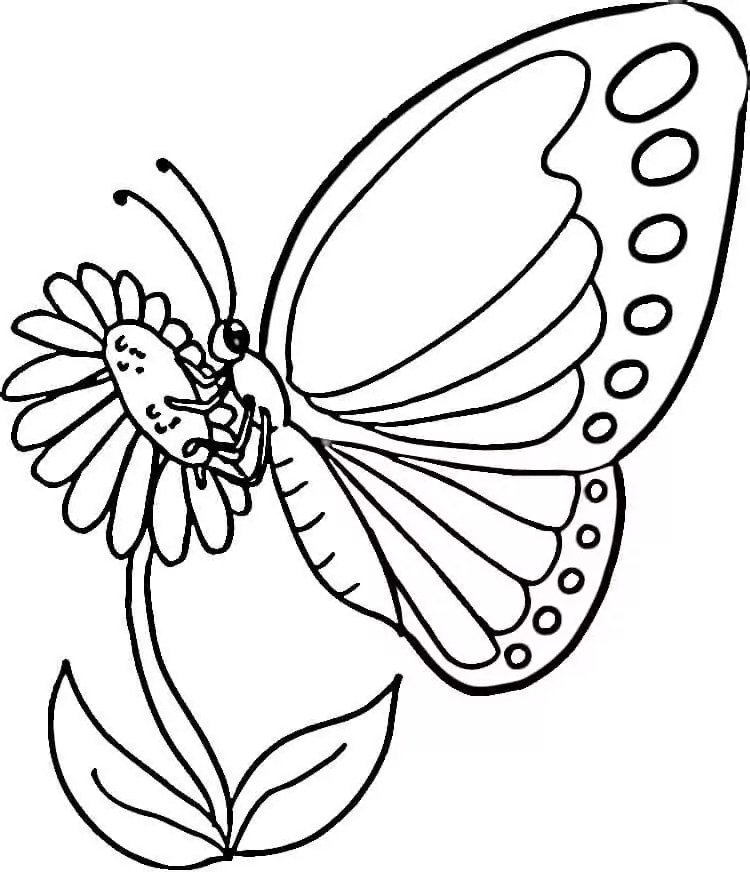 Butterfly Coloring Pages - Free Printable Coloring Pages for Kids
