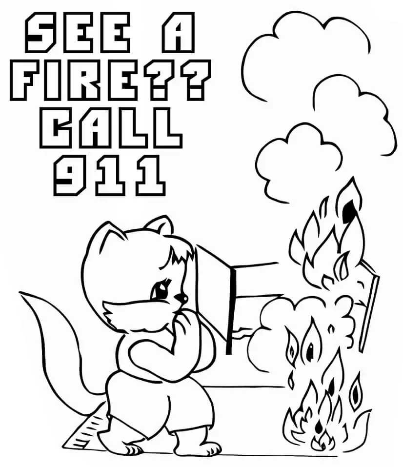 Call 911 Fire Safety