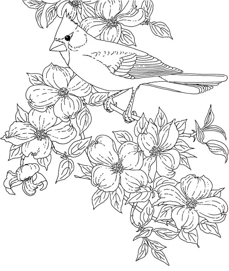 Cardinal and Flowers