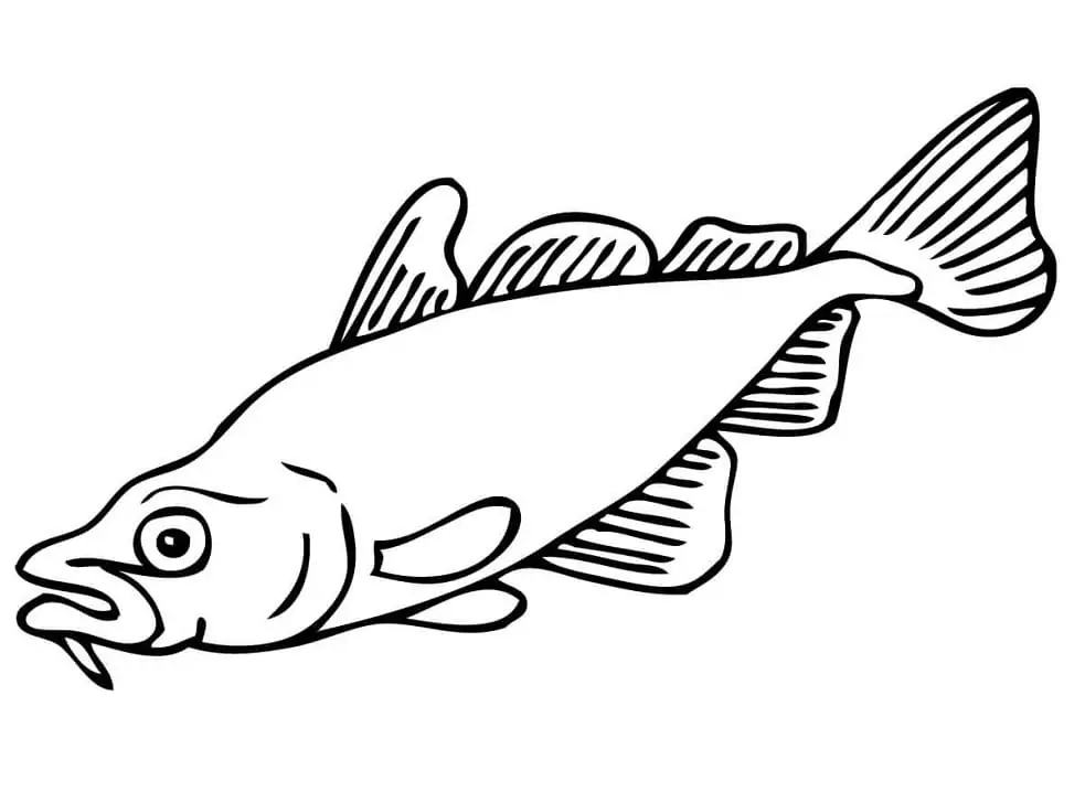 Karpfen Fisch