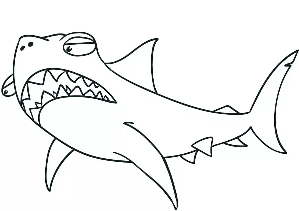 Cartoon Funny Shark