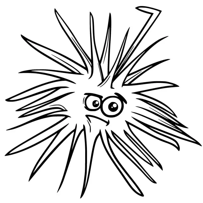 Cartoon Sea Urchin