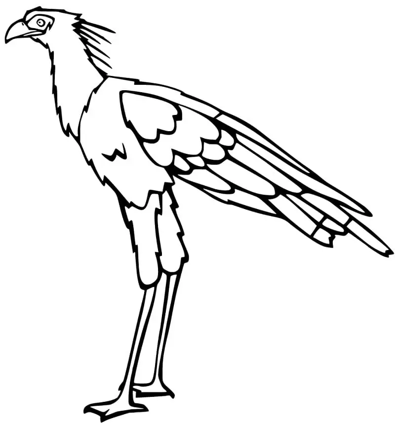 Cartoon Secretary Bird