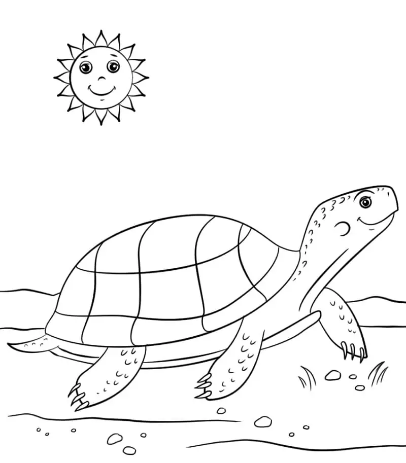 Cartoon Turtle and Sun