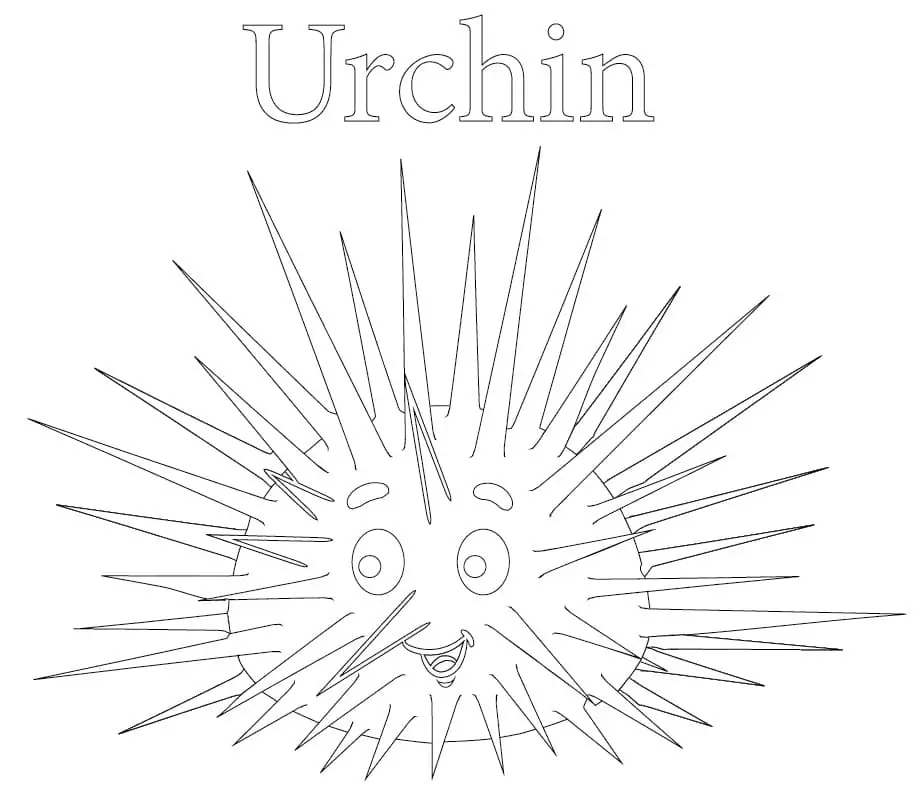 Cartoon Urchin