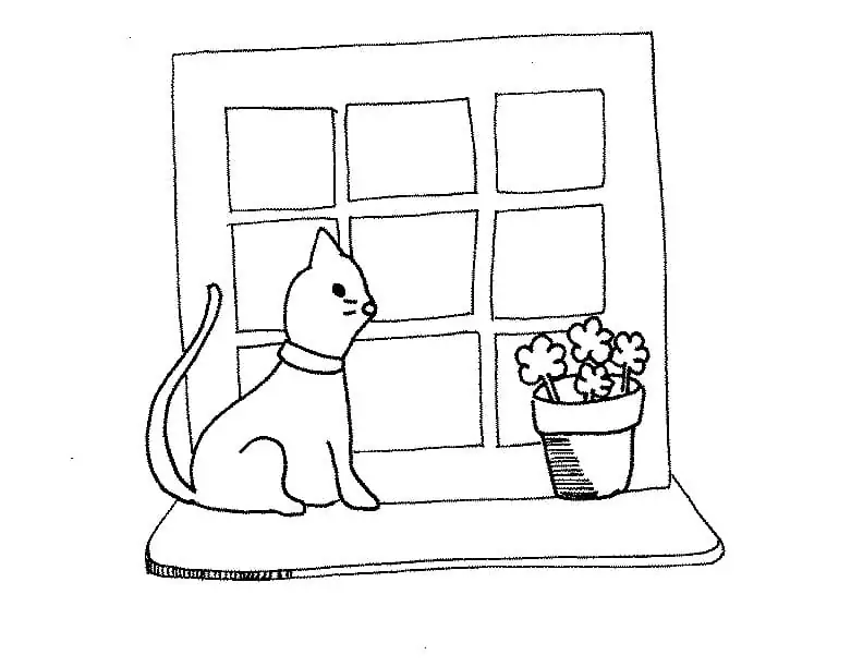 Cat On The Window