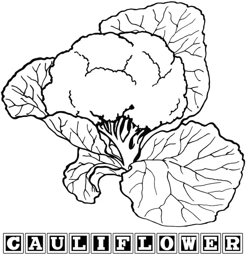 Cauliflower for Children