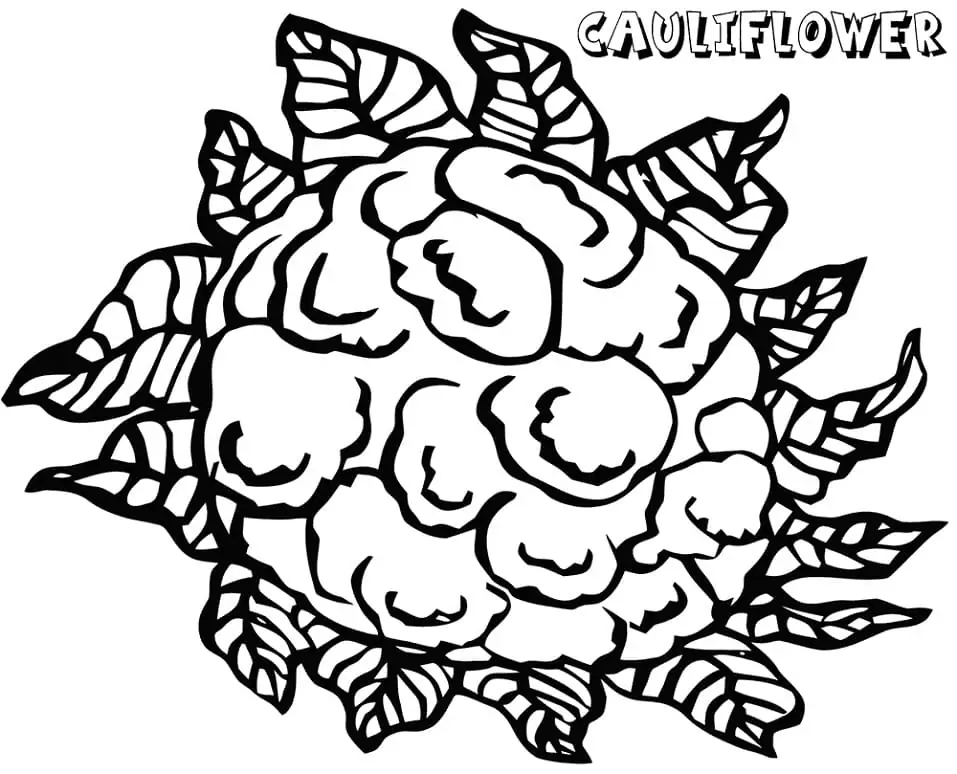 Cauliflower to Print