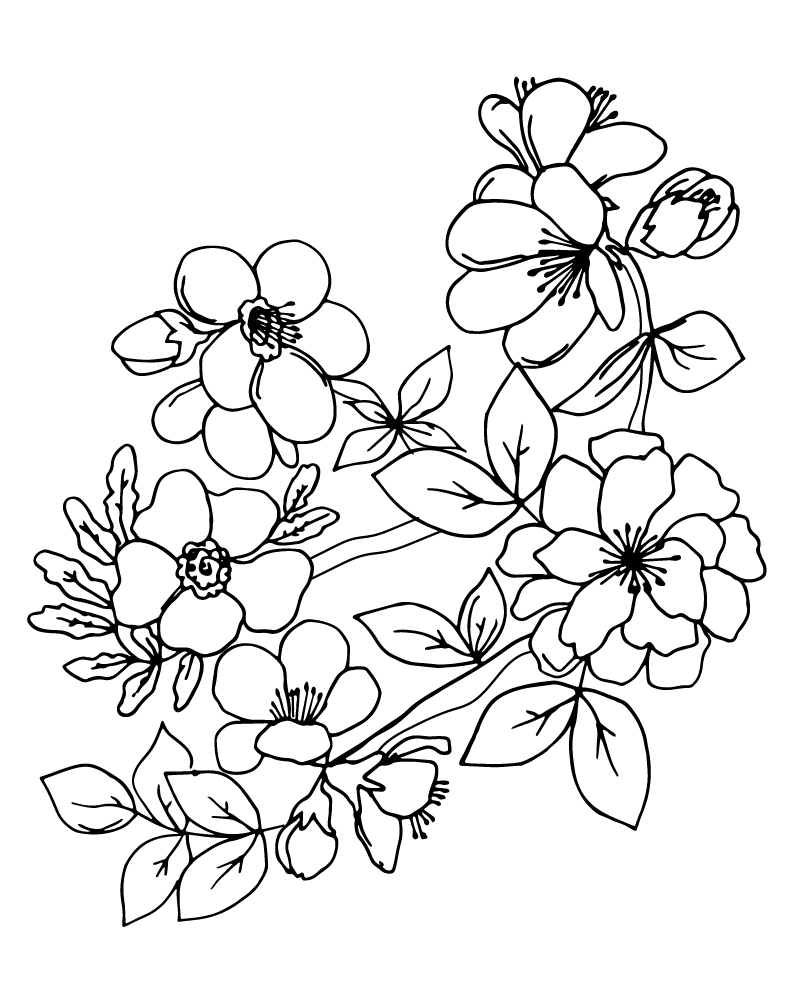 Cherry Blossom coloring page-03 - Coloring Pages