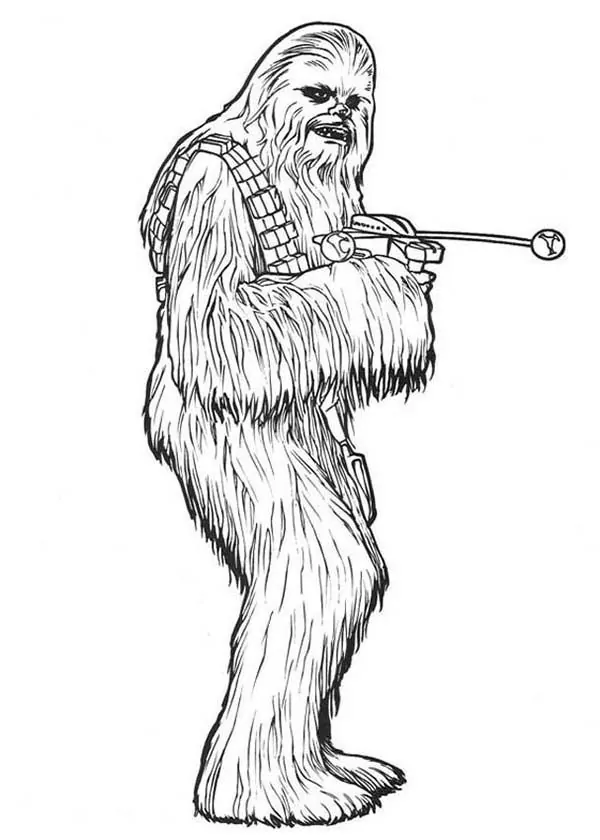 Chewbacca from Star Wars