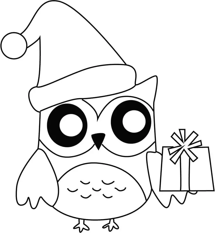 Christmas Owl with Gift