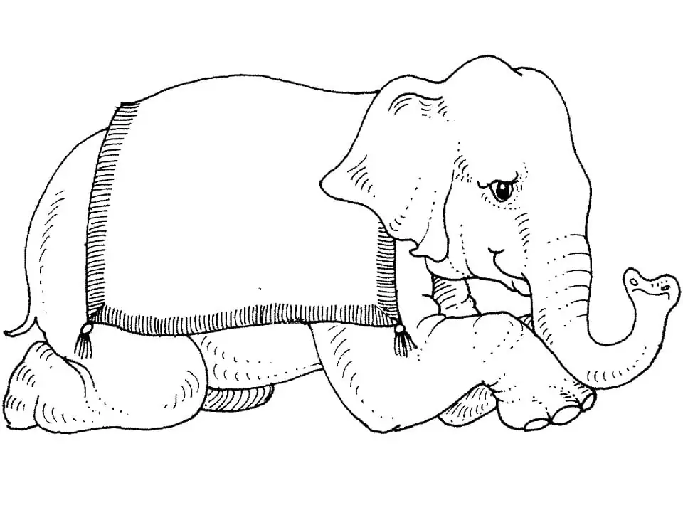Zirkus-Elefant
